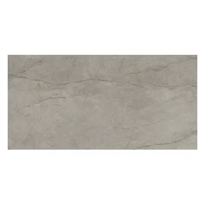 Dlažba Del Conca Boutique silver 60x120 cm lesk GCBO15S