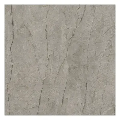 Dlažba Del Conca Boutique silver 120x120 cm mat GRBO15R