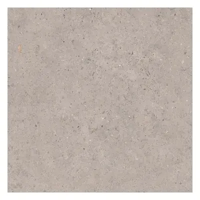 Biophilic grey 60x60 8,5MM GRIP