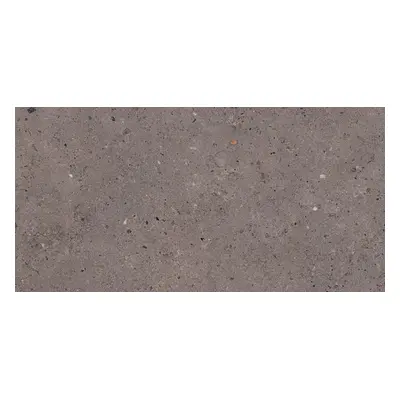 Dlažba Pastorelli Biophilic dark grey 30x60 cm mat P009501