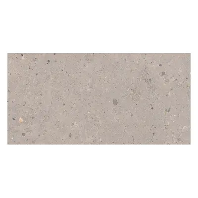 Dlažba Pastorelli Biophilic grey 30x60 cm mat P009500