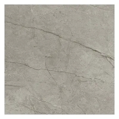 Dlažba Del Conca Boutique silver 60x60 cm mat G9BO15R