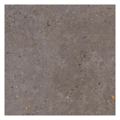 Dlažba Pastorelli Biophilic dark grey 120x120 cm mat P009412