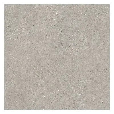 Dlažba Peronda Manhattan grey 60x60 cm mat MANHA60GR