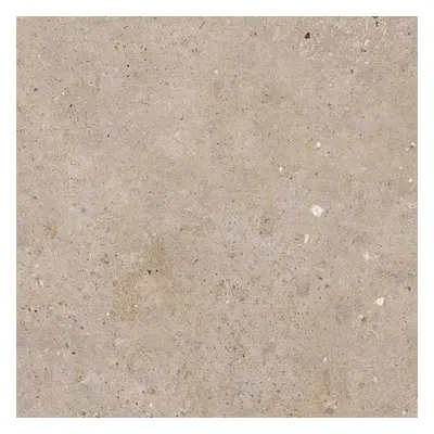 Biophilic greige 60x60 8,5MM GRIP