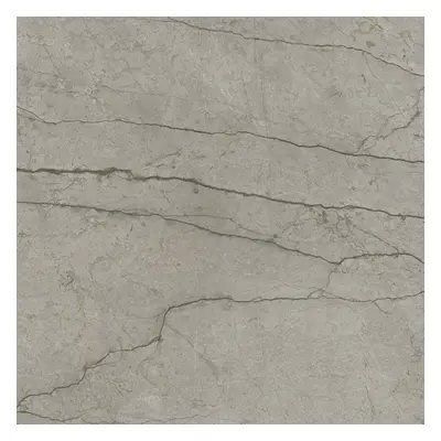 Dlažba Del Conca Boutique silver 60x60 cm lesk G9BO15S