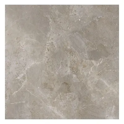 Dlažba Porcelaingres Royal Stone palladium grey 60x60 cm mat X600382X8