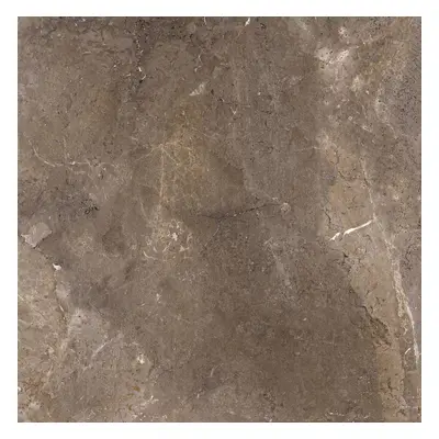 Dlažba Porcelaingres Royal Stone imperial brown 100x100 cm mat X1010381X6