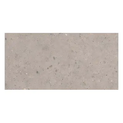 Dlažba Pastorelli Biophilic grey 60x120 cm mat P009415