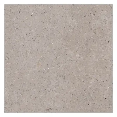 Dlažba Pastorelli Biophilic grey 120x120 cm mat P009411