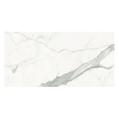 Dlažba Graniti Fiandre Marble Lab Calacatta Stat. 120X60 cm AL192X864