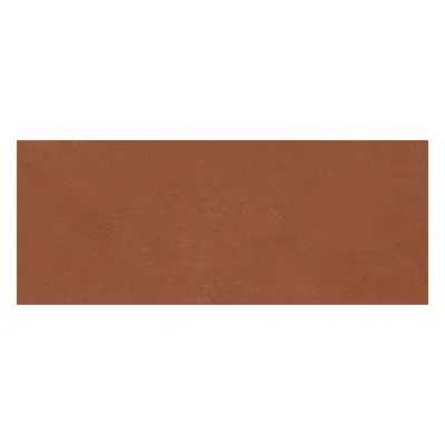 Obklad Del Conca Espressione rosso 20x50 cm mat 54ES06