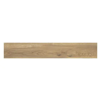 Dlažba Dom Deep Wood iroko 20x120 cm mat ADW1260