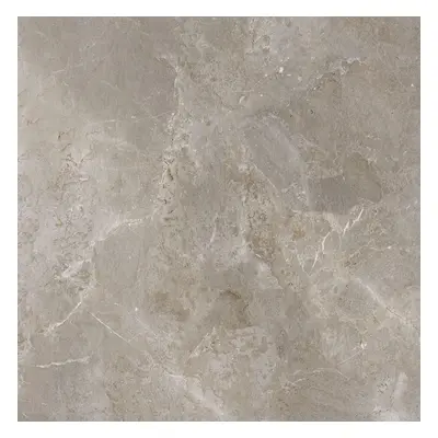 Dlažba Porcelaingres Royal Stone palladium grey 100x100 cm mat X1010382X6