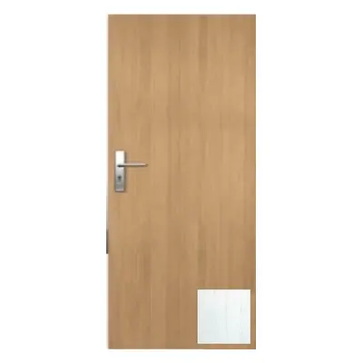 Vchodové dveře Naturel Entry pravé 90 cm borovice bílá ENTRYBB90P