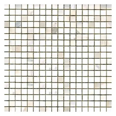 Kamenná mozaika Premium Mosaic Stone bílá 30x30 cm leštěná STMOS15WHP