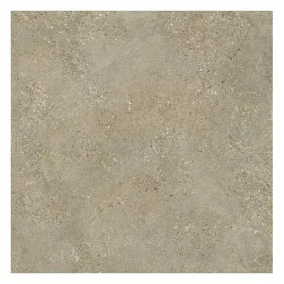 Dlažba Arenis Fineza taupe 60x60 cm mat ARENIS60TA2