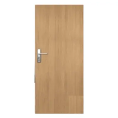 Vchodové dveře Naturel Entry levé 80 cm jilm ENTRYJ80L