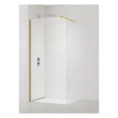 Sprchová zástěna SAT Walk-in 60 cm SATBWI60PRZ