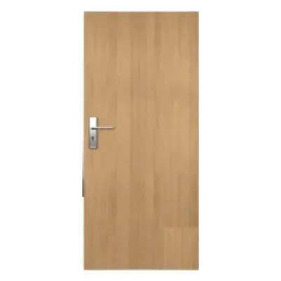 Vchodové dveře Naturel Entry pravé 80 cm jilm ENTRYJ80P