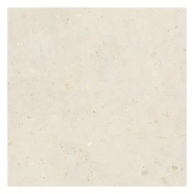 Dlažba Pastorelli Biophilic white 80x80 cm mat P009422