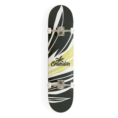 Skateboard Crandon 8,25" Branch