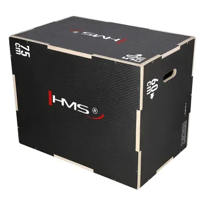 Plyo Box HMS DSC02