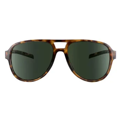 Brýle sluneční TSG Cruise Sunglasses Brown