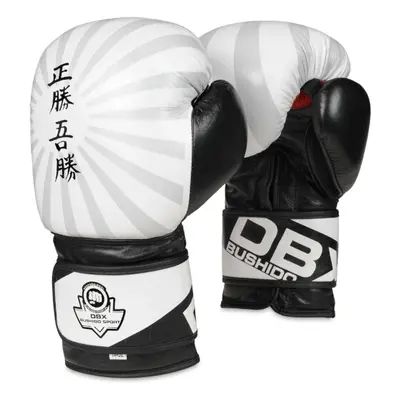 B-2V8 OZ BOXERSKÉ RUKAVICE DBX BUSHIDO