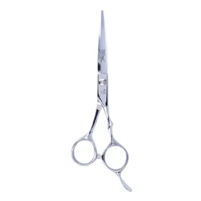 Eurostil ISIS Cutting Scissors 6" - profesionální nůžky, pravá ruka 07023 - Silver