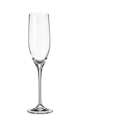 Crystal Bohemia Sklenice na sekt SITTA 240 ml, 6 ks