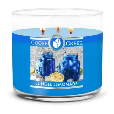 Goose Creek - Jungle Lemonade Aromatická svíčka ve skle 411 g