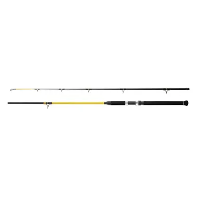 Wft prut never crack catfish boat 2,7 m 250-1000 g