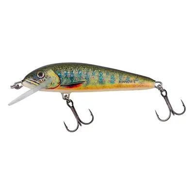 Salmo wobler minnow floating lake charr - 6 cm