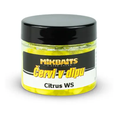 Mikbaits červi v dipu 50 ml - pikantní švestka