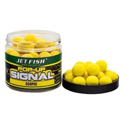 Jet fish signal pop up scopex - 60 g 20 mm