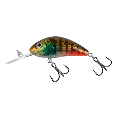 Salmo wobler rattlin hornet floating hot gill clear - 3,5 cm