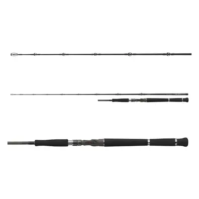 Daiwa prut pro staff baitcast catfish 1,9 m 180 g