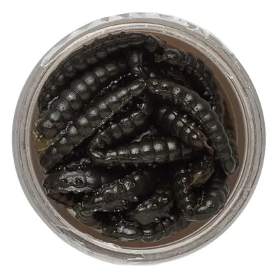 Berkley gumová nástraha powerbait power honey worm 2,5 cm 25 ks black