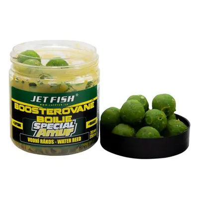 Jet fish boosterované boilie special amur vodní rákos 120 g 20 mm