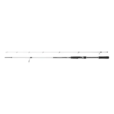 Mitchell prut tanager sw spinning rod 3 m 20-60 g