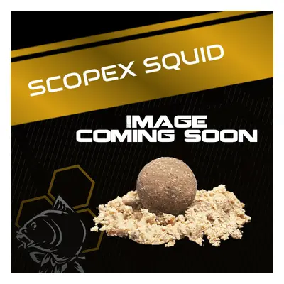 Nash stick mix scopex squid 1 kg