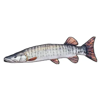 Gaby plyšová ryba muskie štika americká 80 cm