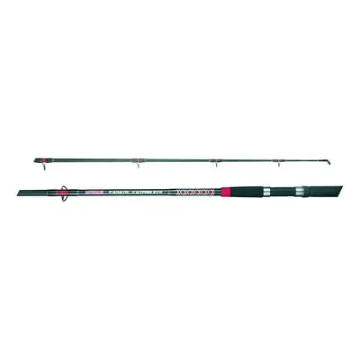 Mivardi prut fanatic catfish 3 m 200-400 g