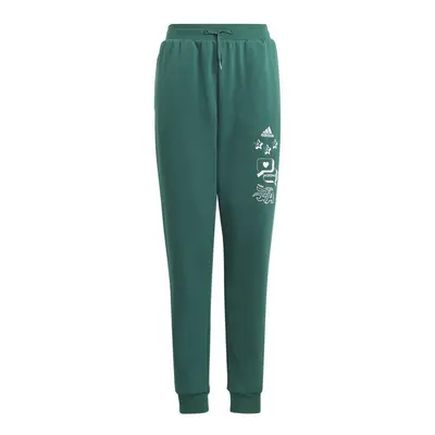 Adidas BLUV Q3 Pant Jr IA1553