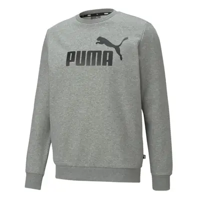 Pánské boty Puma ESS Big Logo Crew FL M 586678 03