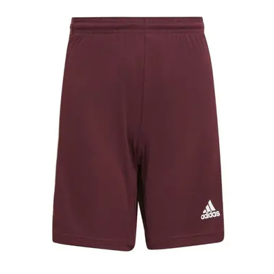 Squadra 21 Short Jr GN8081 - Adidas