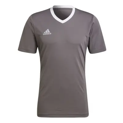 Pánské tričko Adidas T-shirt Entrada 22 Jersey M HE1574 pánské