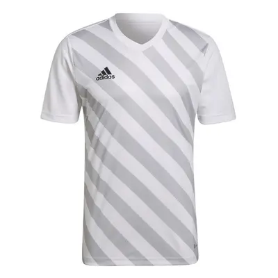 Pánský dres Adidas Entrada 22 Graphic Jersey M HF0129