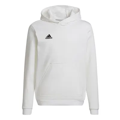 Dětská mikina Adidas Entrada 22 Hoody Jr HG6303